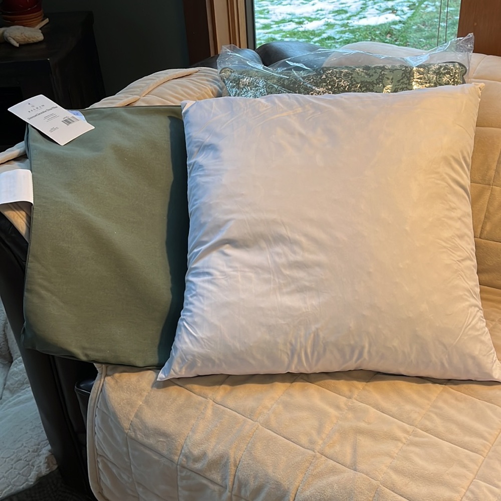 Set of 2, 20X20 decorative throw pillow